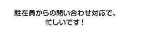 駐在員からの問い合わせ対応で、忙しいです！