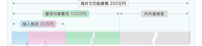 海外での医療費　健保対象費用　内外価格差　個人負担